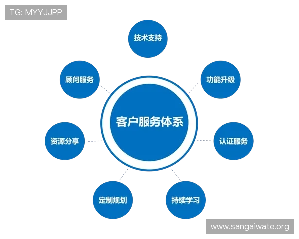 王子娱乐平台:客户服务与技术支持体系全方位解读 王子娱乐平台:客户服务与技术支持体系全方位解读